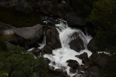 DSC_4683 (Large).JPG